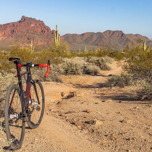 thebicycletree:  Today’s quick ride was a nice mental refresher as I gear up for a month of packing,