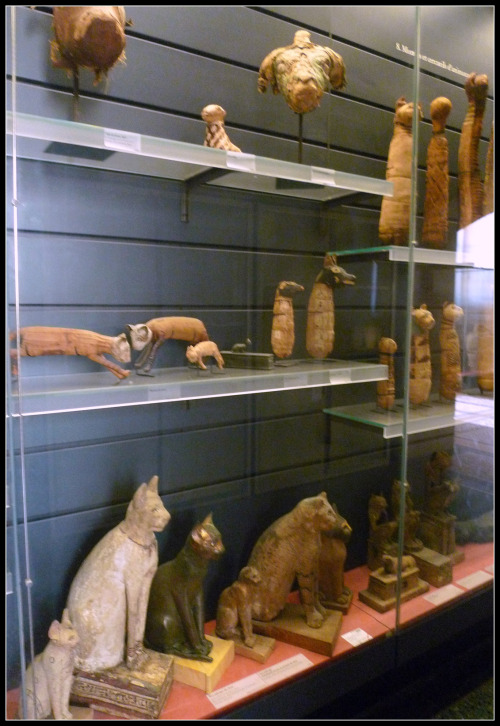 ancientart:Egyptian mummified cats at the Louvre. Courtesy of the Louvre, France, photos taken by Ja