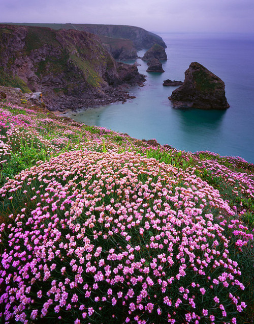 coiour-my-world:Bedruthan Steps by @rdownerphoto on Flickr.Cornwall