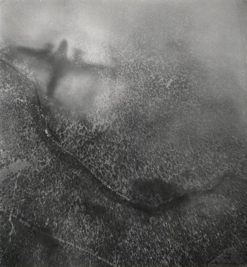 la-journee: Max Dupain - Anson Shadow, 1942/1980s. I will be away on vacation for a while, take care