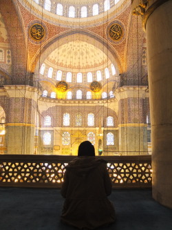 evelyninegypt:  In the New Mosque 