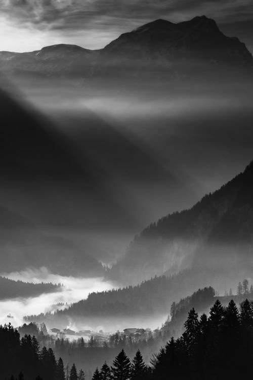 misty morning by andy dauer camera: Nikon D810