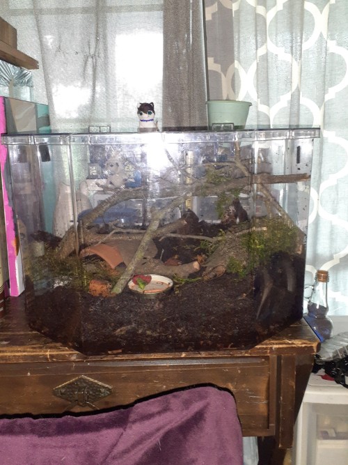 Millipedes Got A Huge Upgrade. I'm Super Happy With It
