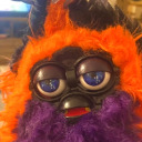 lesbian-furby avatar