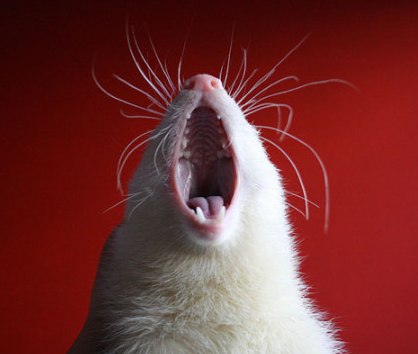 AAAAAAAAAAAAAAAAAAAAAAAAAAAAAAAAAAAAAAAAAA