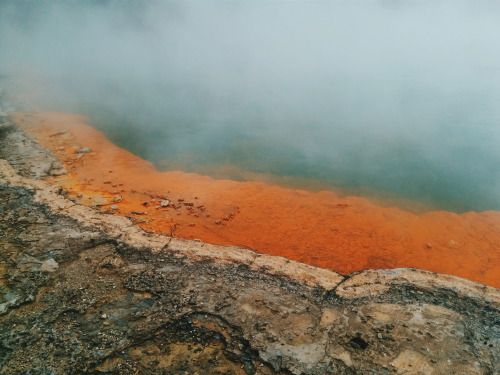 aratrikag05: Champagne Pool, Waiotapu Geothermal Field. Near Rotorua, New Zealand. We went here for 