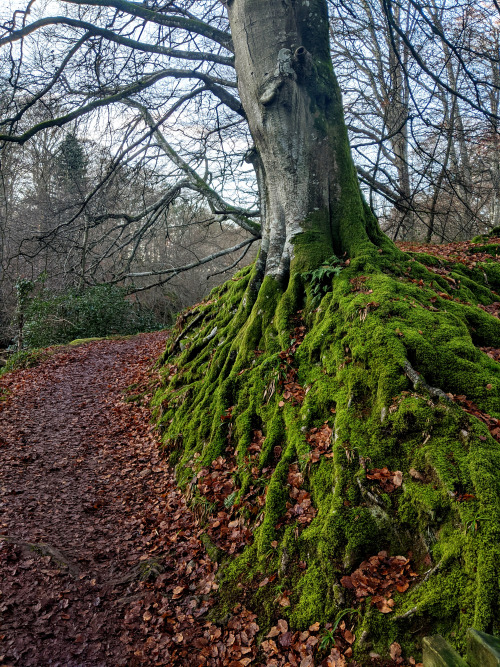 naturephotoportal