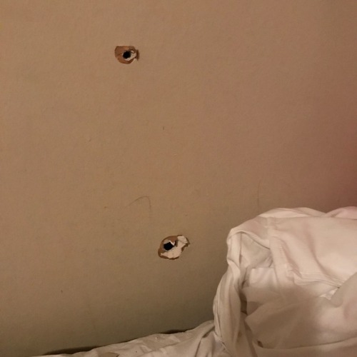 real-pcys: sftcy: sftcy: There are 3 bullet holes in my room. One grazed my arm. I am writing this