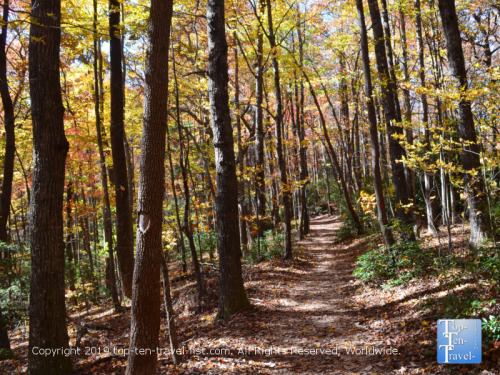 Raven Cliff Falls Trail, Caesars Head State Park, South Carolina