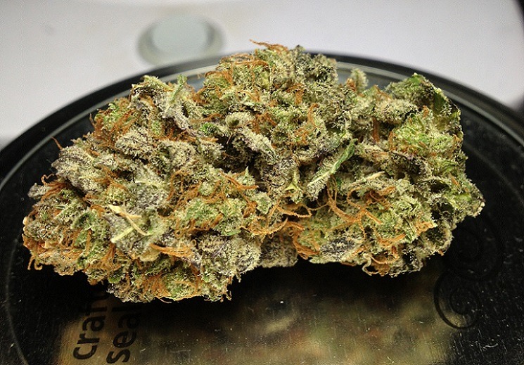 hasankaptan:  Blue Candy