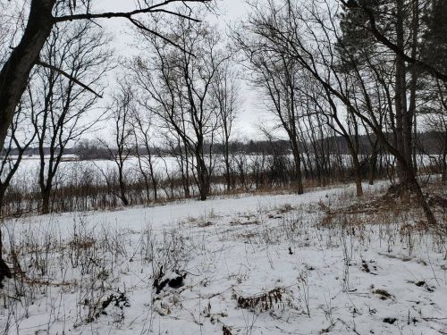 A Sunday mini-adventure with Jill and Aela, hiking around the trails at Pine Point Regional Park ❤❄ 