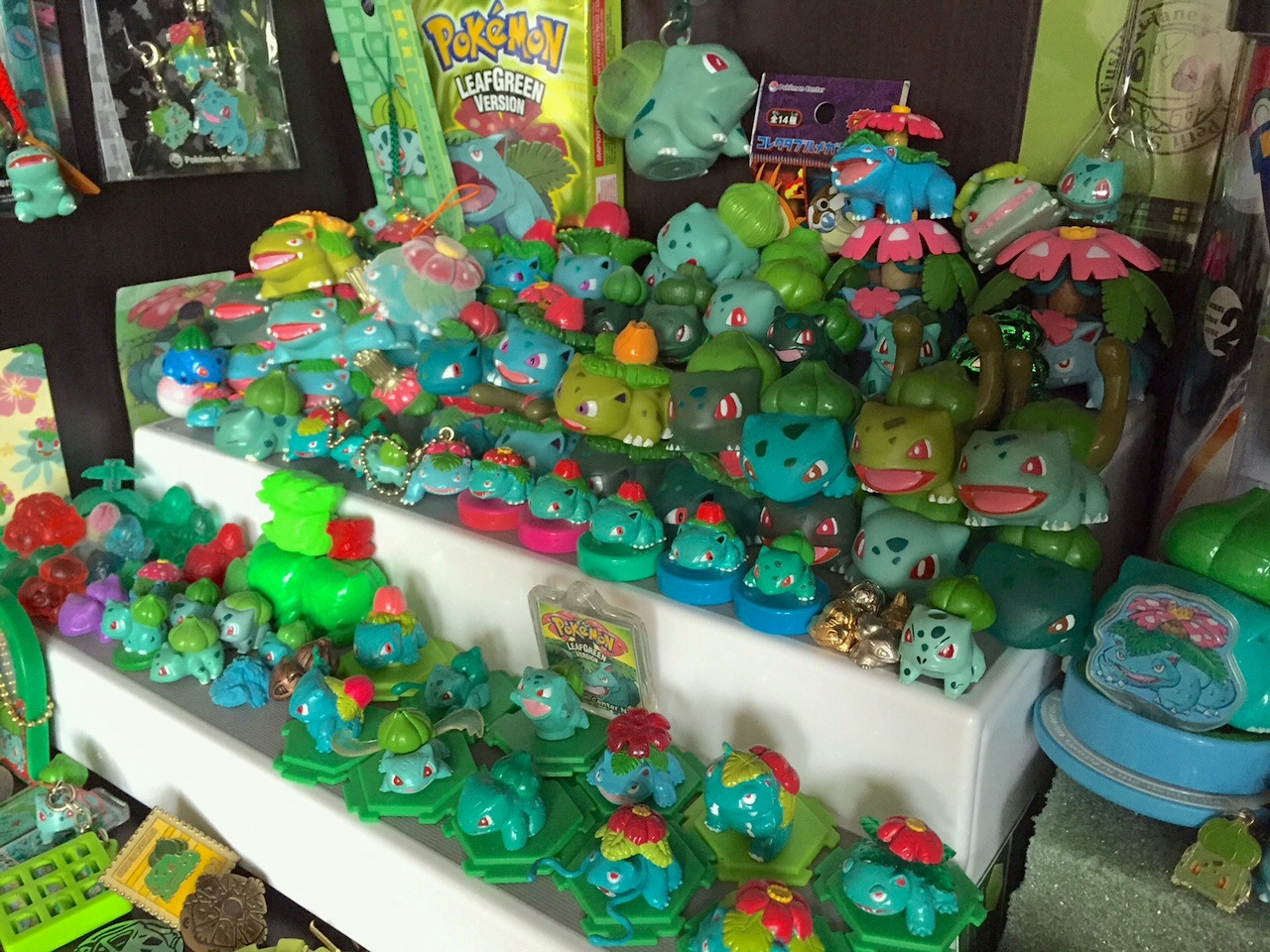 venusaurvalley:The title of my blog is Venusaur Valley because my main Pokemon collection