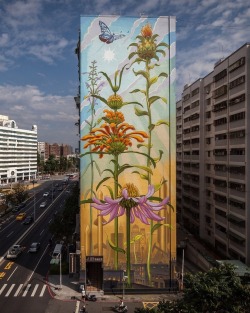 archatlas:  Soaring Murals of Plants on Urban Walls by Mona Caron  Muralist Mona Caron has continued her worldwide Weeds series, with colorful renderings of humble plants growing ever taller on buildings from Portland and São Paulo to Spain and Taiwan.