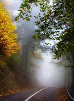 sweetd3lights:    By Paulo Rocha   