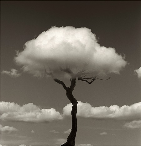 staceythinx:  The wonderfully clever work of Chema Madoz 