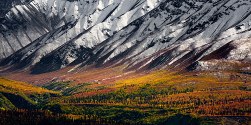 theencompassingworld:  btruono:  Seasons   The World Around Us