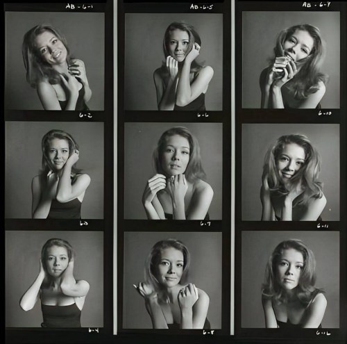 Diana Rigg Nudes & Noises   porn pictures