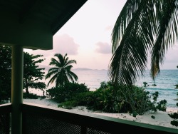 maliamurphey:  the view from our room 🌴