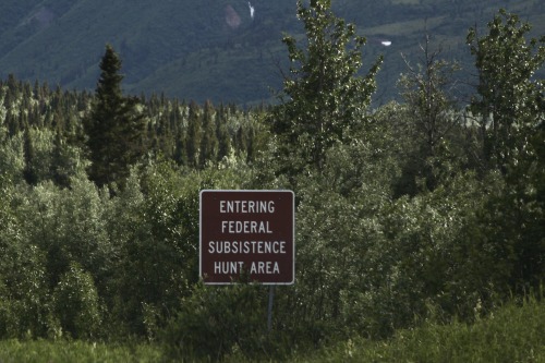 highways-are-liminal-spaces: A collection of my favorite Alaska-specific signage Taken June through 