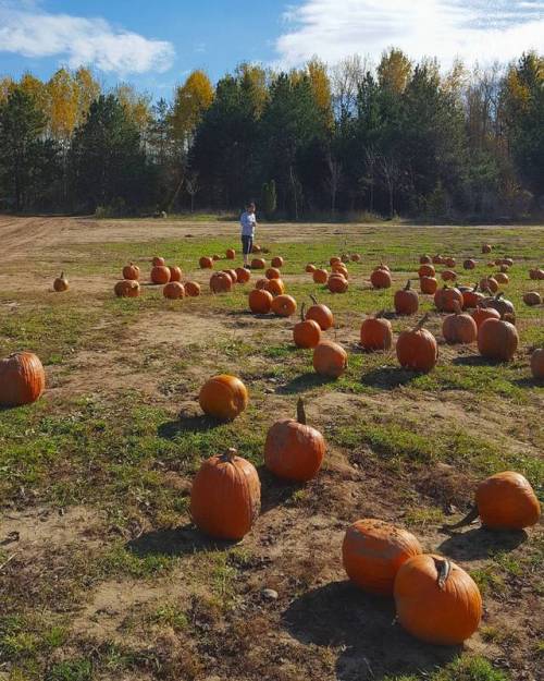 lavenderwaterwitch:Pumpkin Picking with my handsome ✨