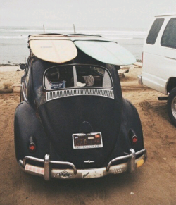 asurferdreams:  Surfing posts