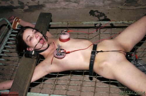 nbscastng:  HoleOween featuring Lynne from insex 2004-11-24
