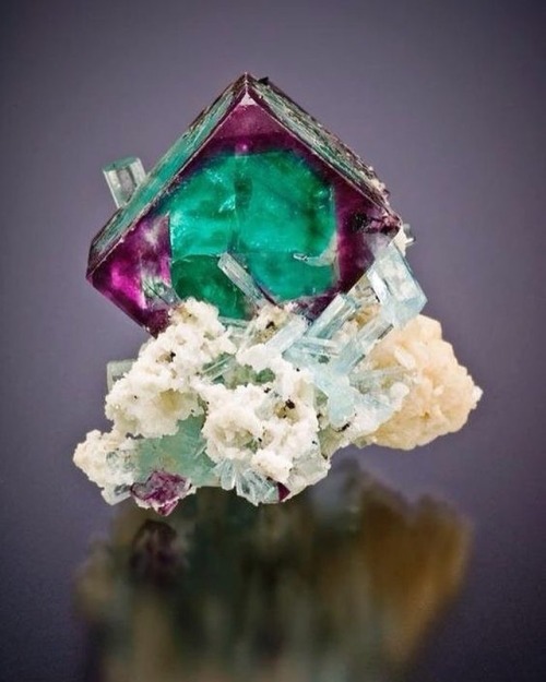 geologypage:  Fluorite with the aquamarine | #Geology #GeologyPage #Mineral   Locality: Erongo Mtns Namibia.   Photo Copyright Jeff Scovil.   Geology Page www.geologypage.com