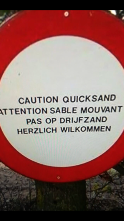 frozen-stars: germans do things differently