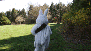 releaseyourwild:  Happy Easter. 