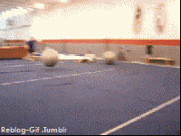 funny-gif-1:  ☆ ☆ Actual FUNNY Gif Blog ☆ ☆ 
