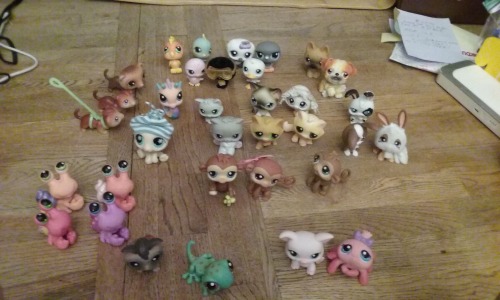 LPS for sale. Haven’t ID’s them yet. Posting on a few sites.