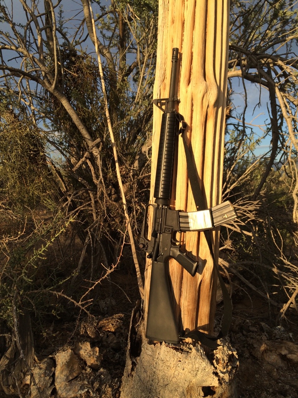laonza666:  Grab AR and go Innadesert
