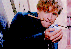 chaneloberlyn: #do you ever just want to cry because of how much Newt Scamander loves