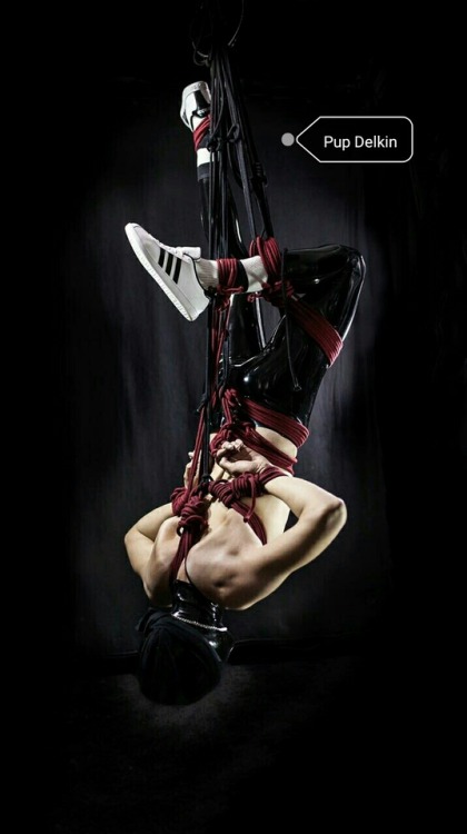 XXX bondagetool:Upside down suspension photo