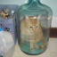 binkybarnes1994