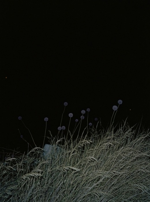 phasesmag:  Berangere Fromonthttp://www.berangerefromont.com/ 