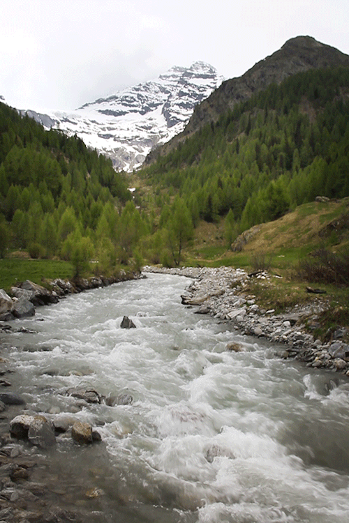 czechthecount:  Fafleralp, Switzerland by czechthecount: instagram | facebook | 500px | prints