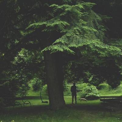 Dad, dog and tree
✖
#nature #mobilnytydzien138 #ihaveathingforshadows #naturegram #nature #campeveryday #moody #moodygrams #eclectic_shotz #twoisbetterthanone #tinypeople #fa_emotive #mobilemag #ourmomentum #artystycznapodroz #visualcollective...