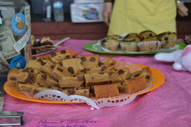 veganfeast:  Vegan Peanut Butter and Chocolate Squares by Mr. Tender Branson on Flickr.