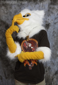 tristangryph:  Pose? Maybe I should just eat that shiny camera?