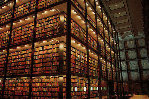 vielynne:  laurenbeukes:  Libraryporn love theremina:     Jfc I can’t not have this on my blog Seriously any of these would be my personal paradise.