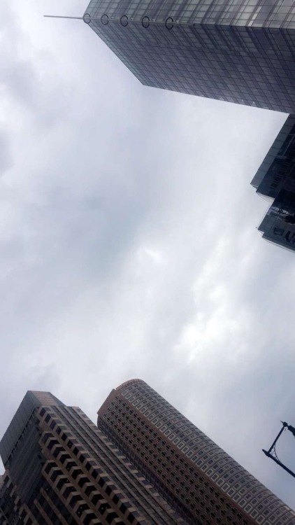 Sky Scrapers