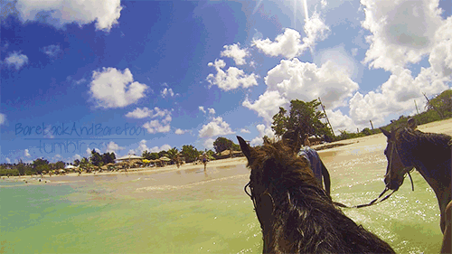 barebackandbarefoot:  For the last few weeks I’ve been in Miami and the Caribbean
