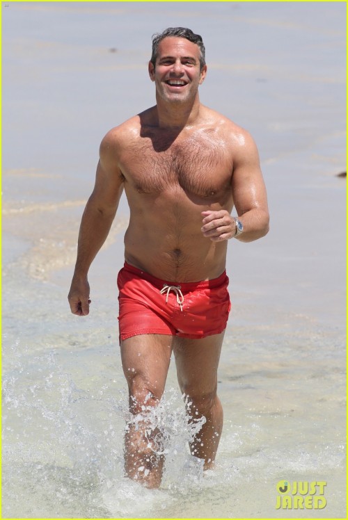 pussyboyfaggot:  dailydoseofdilf:  holydilfbatman:  He looks quite like my boyfriend.   ok andy cohen, we see you  You bet your ass i would