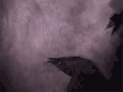 A Calm, Slow Burn
