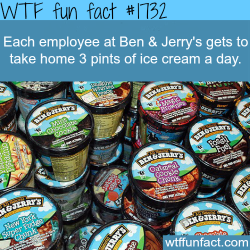 wtf-fun-factss:  Ben & and jerry’s