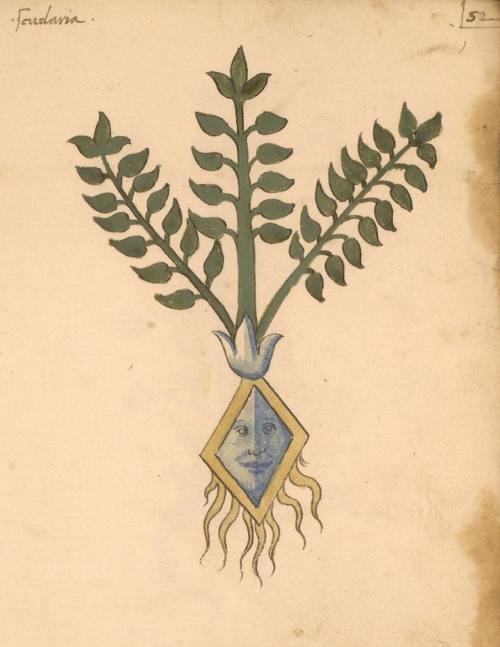 Herbal from Northern Italy (15 c.)