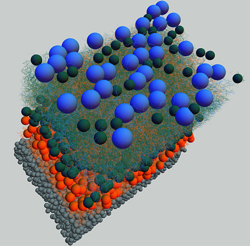 Making connections in the eye Wiring diagram of retinal neurons is first step toward mapping the hum