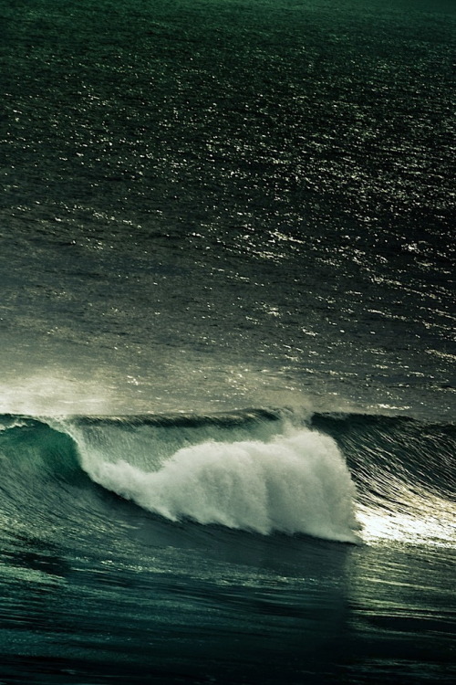 r2–d2:  Wave             