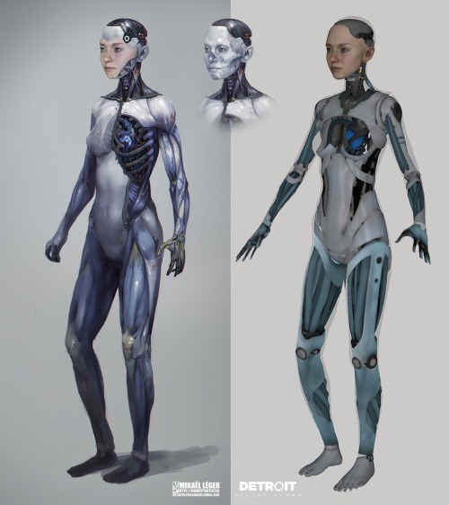 ANDROID ANATOMY